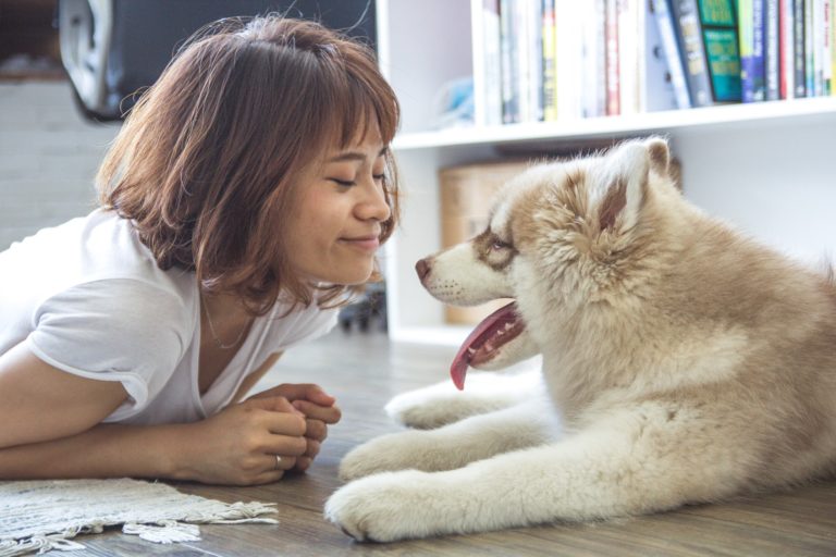 How to Potty Train Your New Puppy