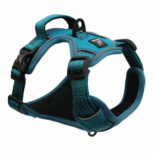 Harness Images-01 Harness Images-01