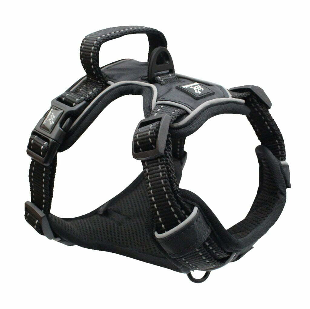 Ruffin it dog top harness