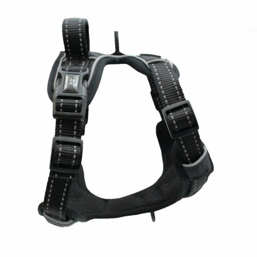 Harness Images-11 Harness Images-11