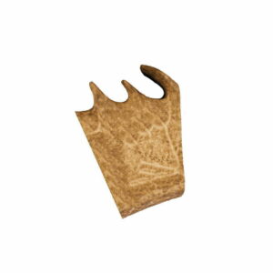 fallow antler