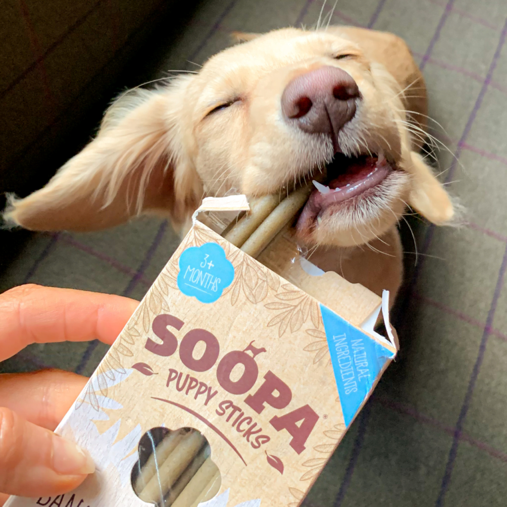 Soopa Puppy Dental Sticks Dog Treats Natural Treats Pawshtails UK