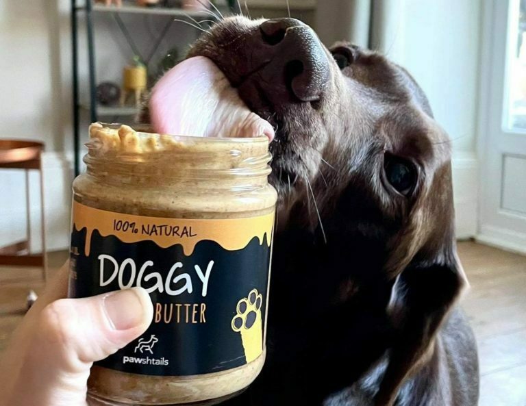 Things You Can Do With Our Doggy Peanut Butter Treat Jar