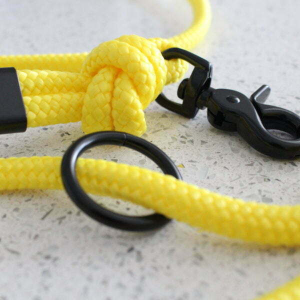 figure of eight rope dog lead