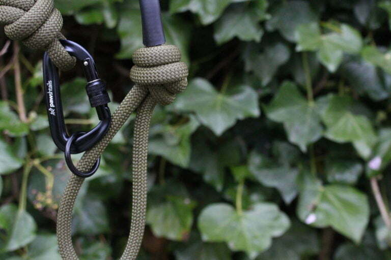 Are climbing rope dog leads good for dogs that pull?