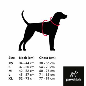 Measure dog hotsell for harness