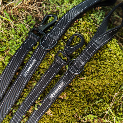 Leads Black (2) Leads Black (2)
