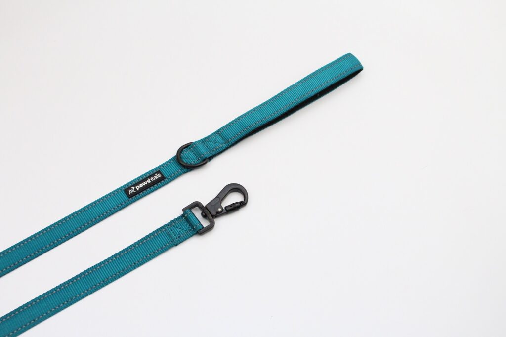 Teal Functional Dog Lead Reflective Stitching High Quality Dog Gear
