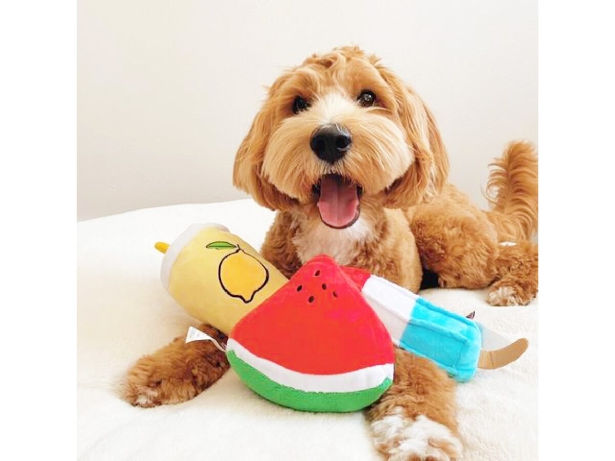 squeakless dog toys