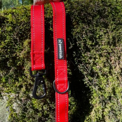 Crimson Red Lead Crimson Red Lead