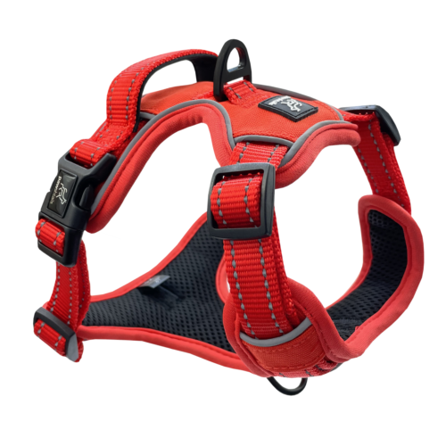 Orange 2 Orange No-Pull Dog Harness