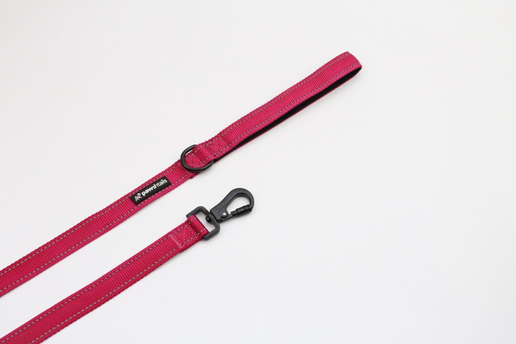 Pink Functional Dog Lead Reflective Stitching High Quality Dog Gear