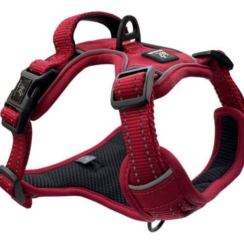 Red 1 Red No-Pull Dog Harness