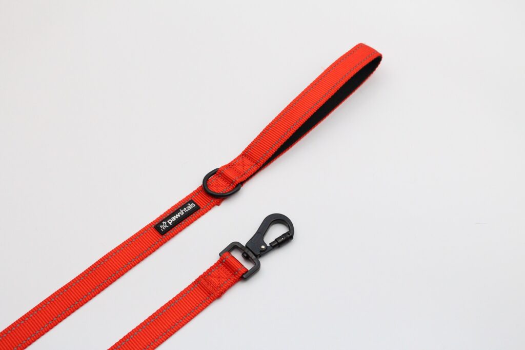 Vivid Orange Functional Dog Lead Reflective Stitching Quality Dog Gear