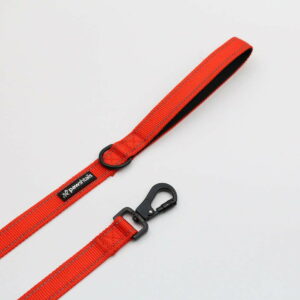 Orange Functional Dog Lead
