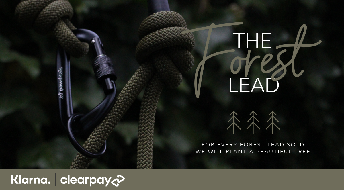 Forest Lead Forest Lead