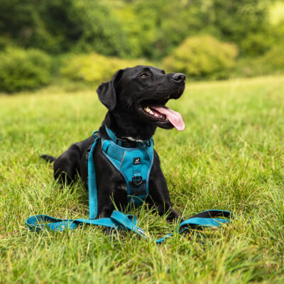 Teal Set Teal Set