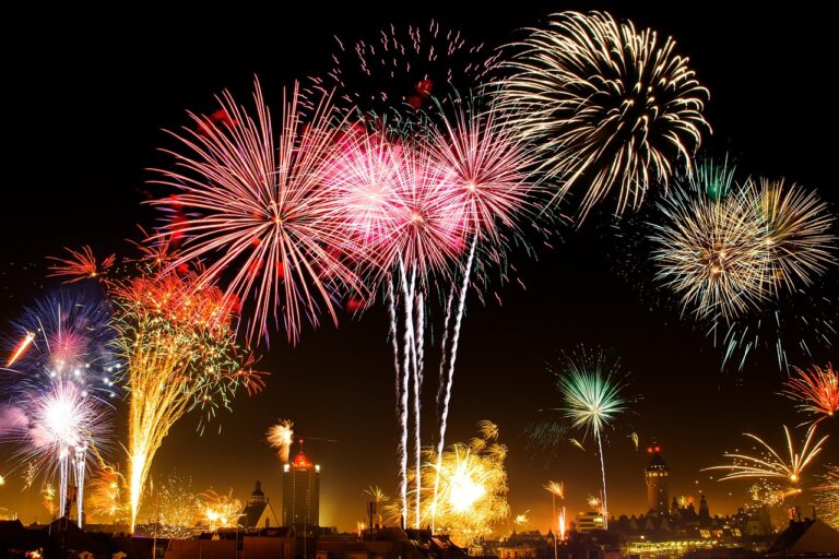 Your Dog & Fireworks: Tips to Keep Your Dog Calm