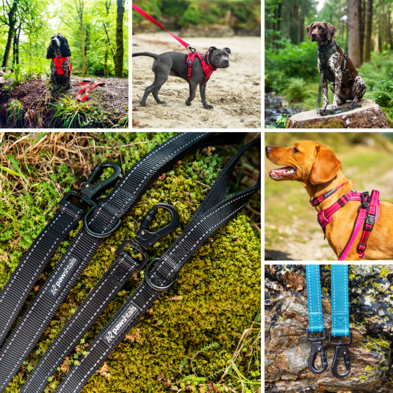 Dog Accessories Dog Accessories UK Dog Walking Accessories