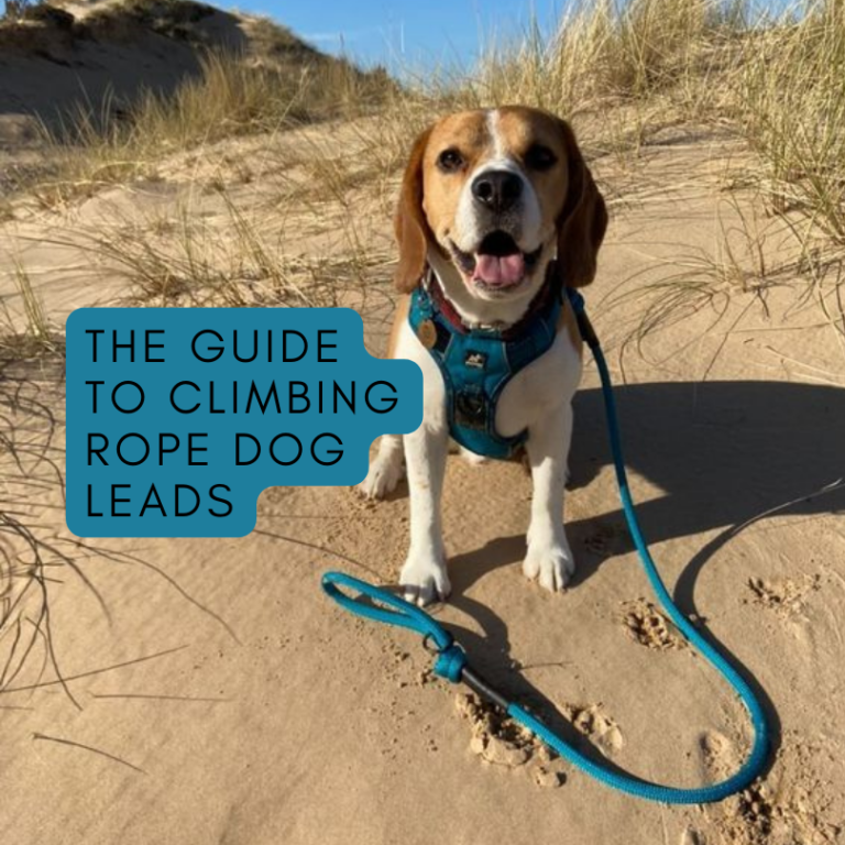 The Guide to Climbing Rope Dog Leads: Stylish and Durable Dog Accessories