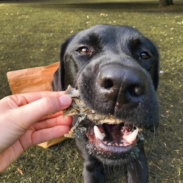 275789752_6901190988535