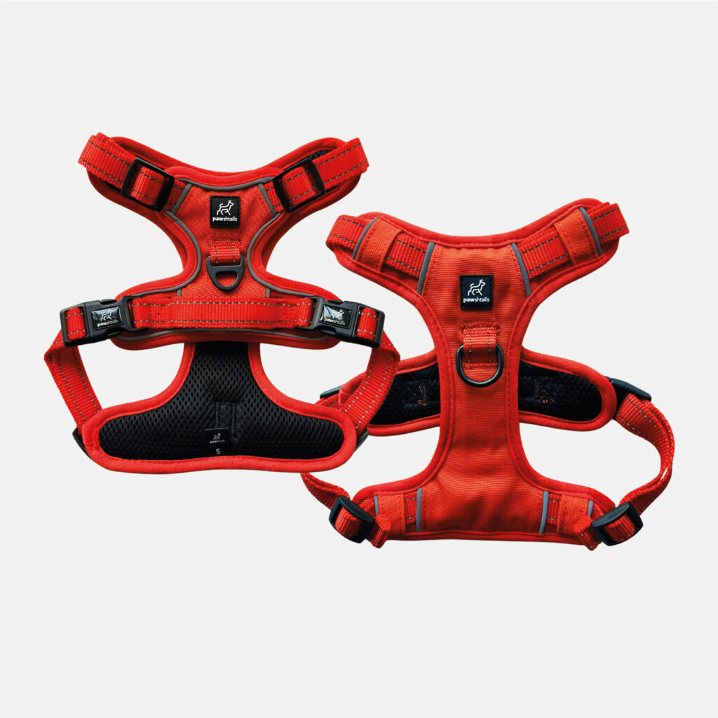 Vivid Orange Gear Bundle