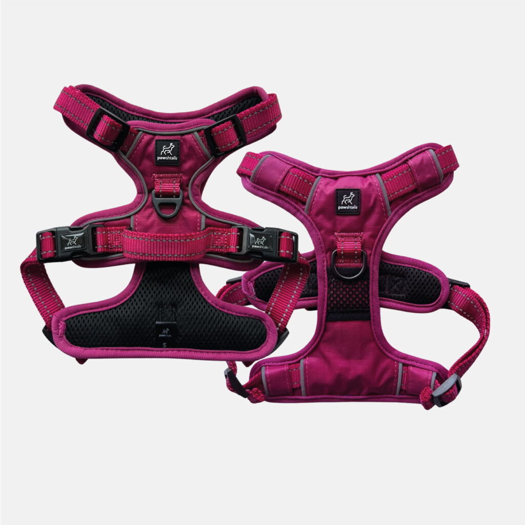 Pink Gear Bundle