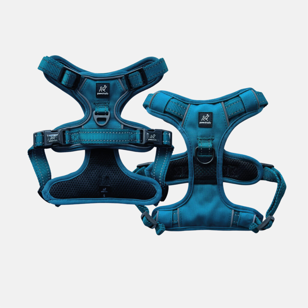 Teal Gear Bundle