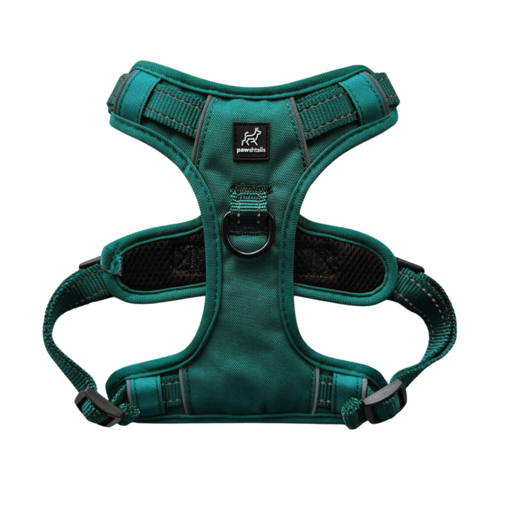 Emerald Green Gear Bundle