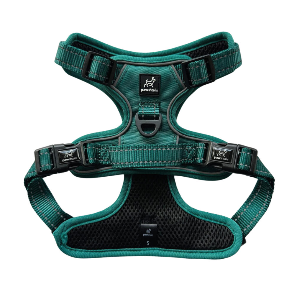Emerald Green Gear Bundle