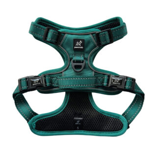 Emerald Green Adjustable Anti Pull Dog Harness