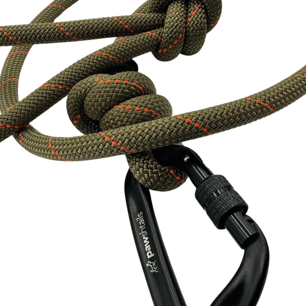 Evergreen Climbing Rope Dog Lead