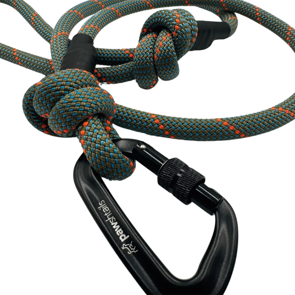 Ocean Climbing Rope Dog Lead