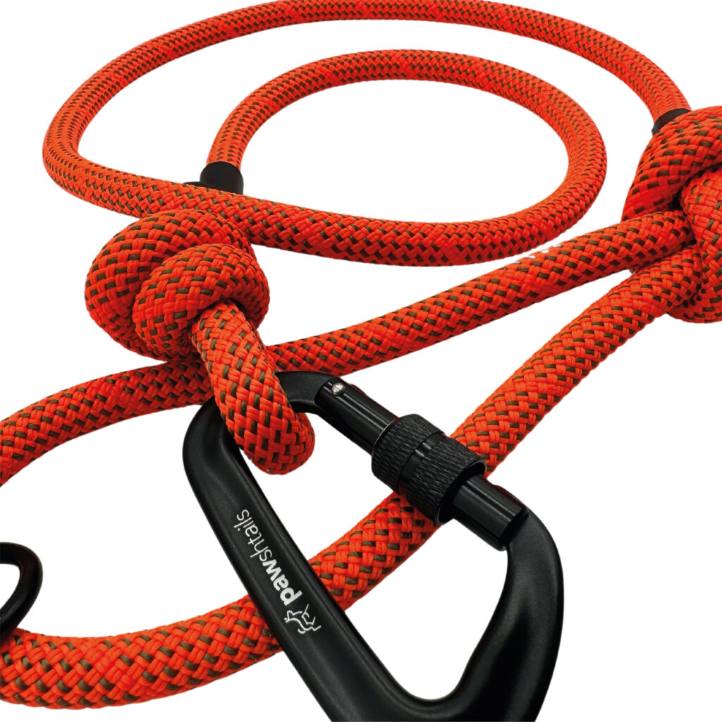 Orange Climbing Rope Dog Lead