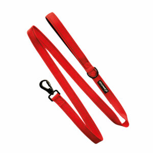 Vivid Orange Functional Dog Lead