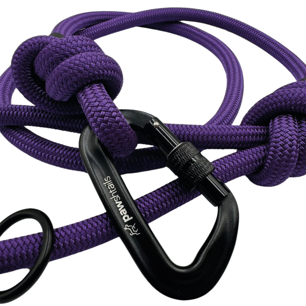 Purple Climbing Rope Dog Lead