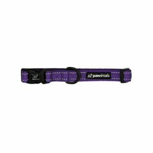 Purple Dog Collar