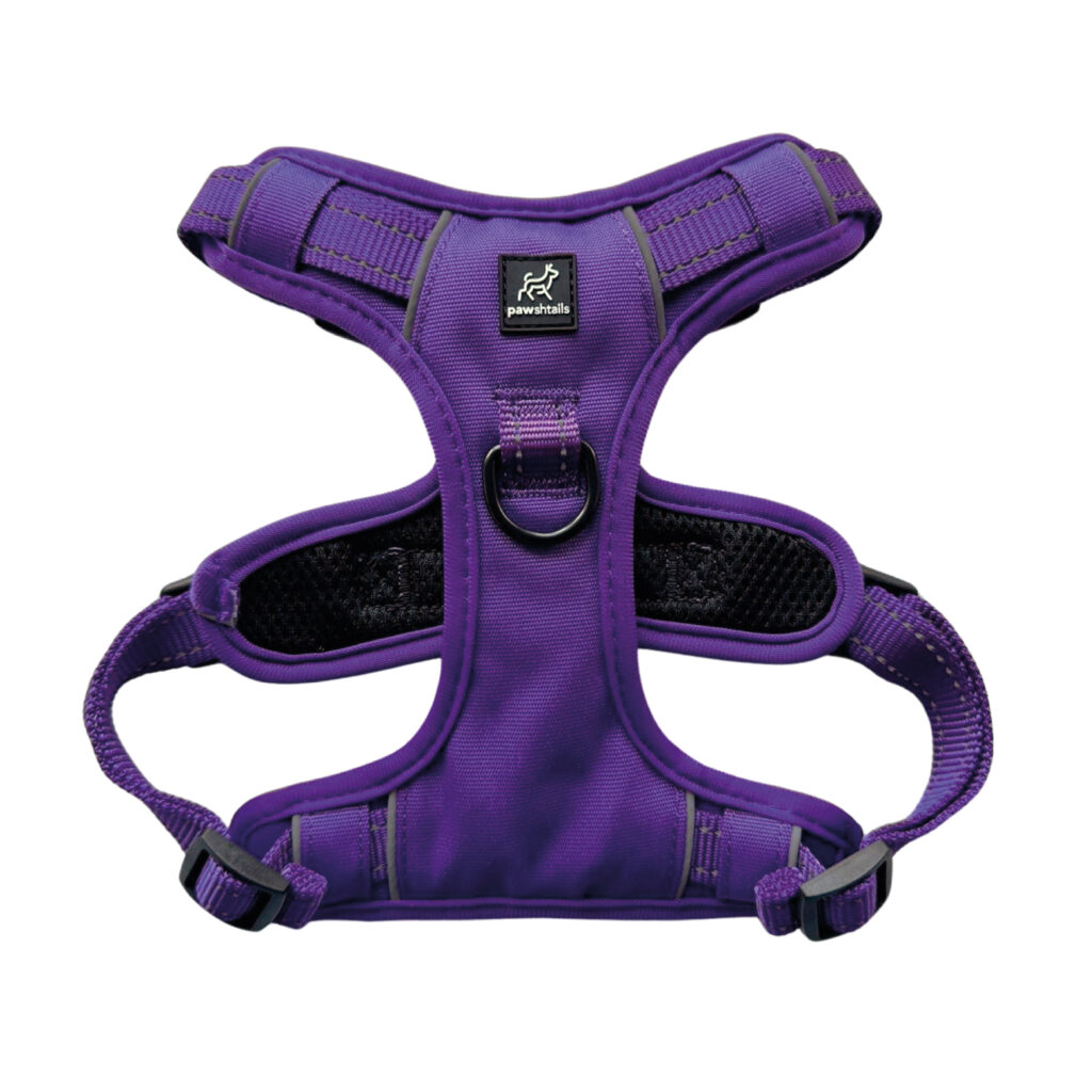 Purple Gear Bundle