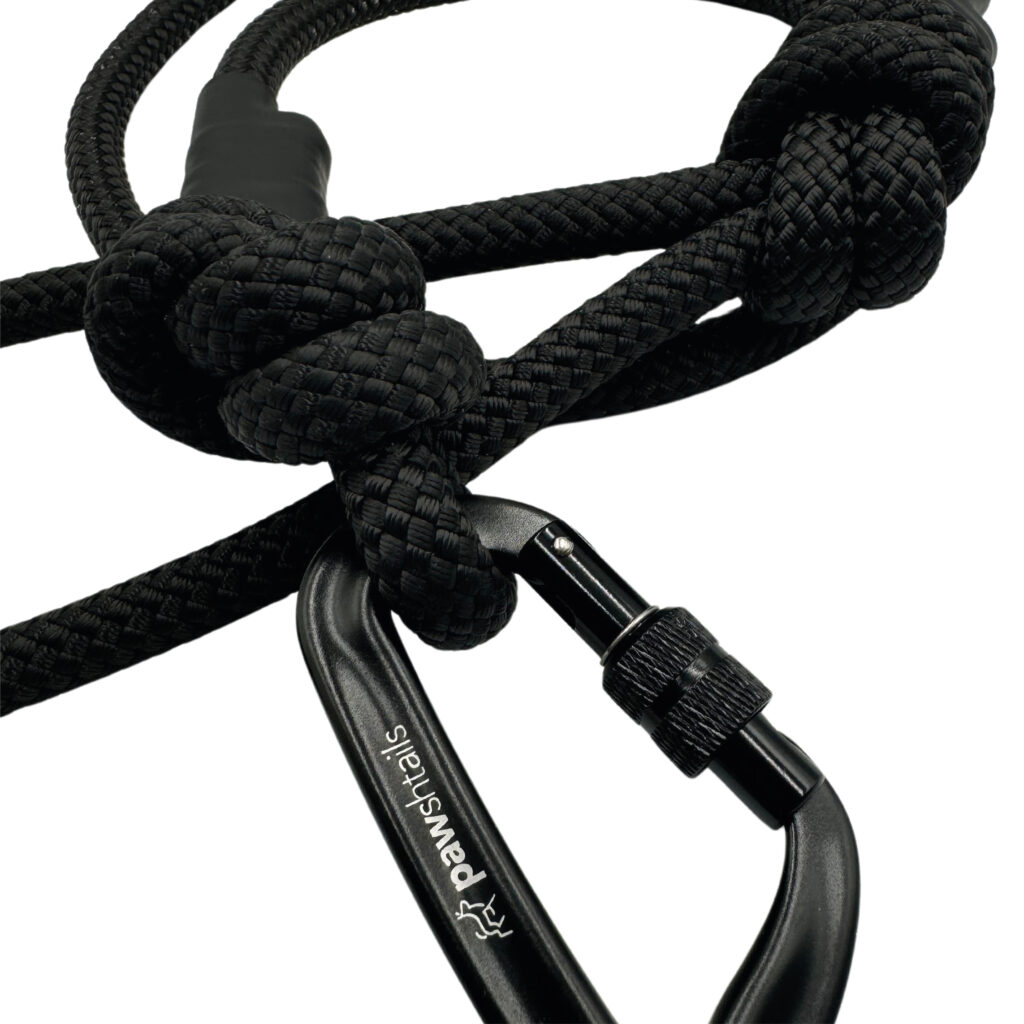 The Raven Climbing Rope Lead