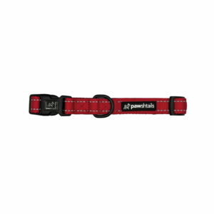 Crimson Red Dog Collar