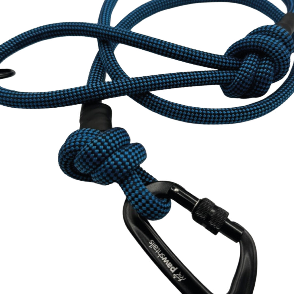 Sapphire Climbing Rope Dog Lead