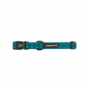 Teal Dog Collar