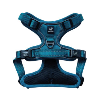 Teal Adjustable Anti Pull Dog Harness