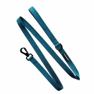 Teal Functional Dog Lead