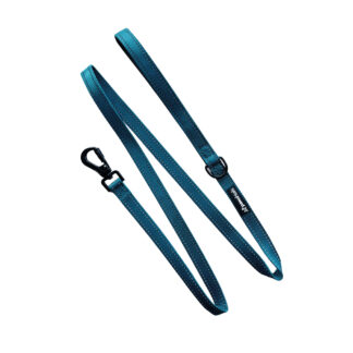 Teal Functional Lead