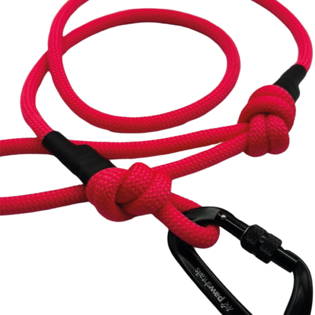 The Vogue Climbing Rope Dog Lead