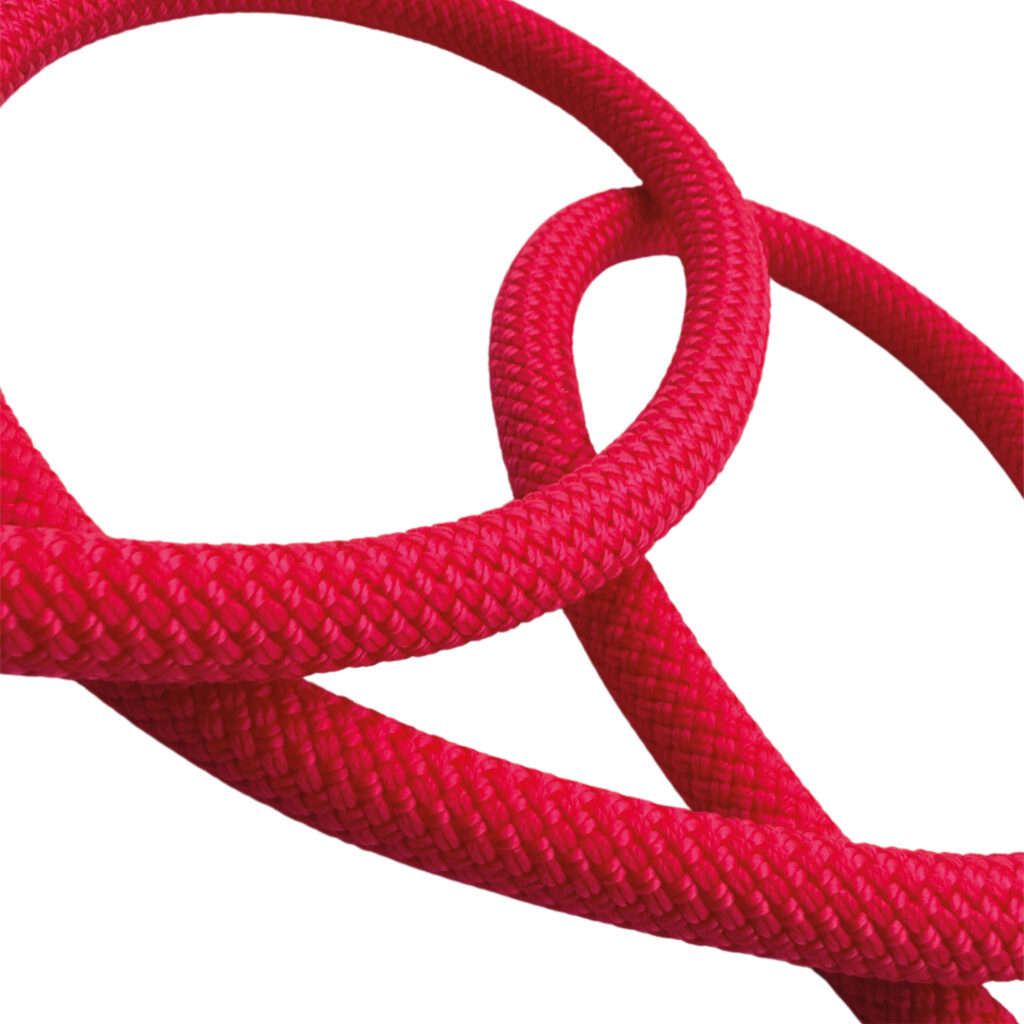 The Vogue Climbing Rope Dog Lead