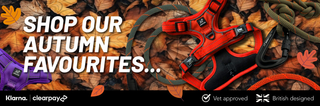 Autumn Dog Harness