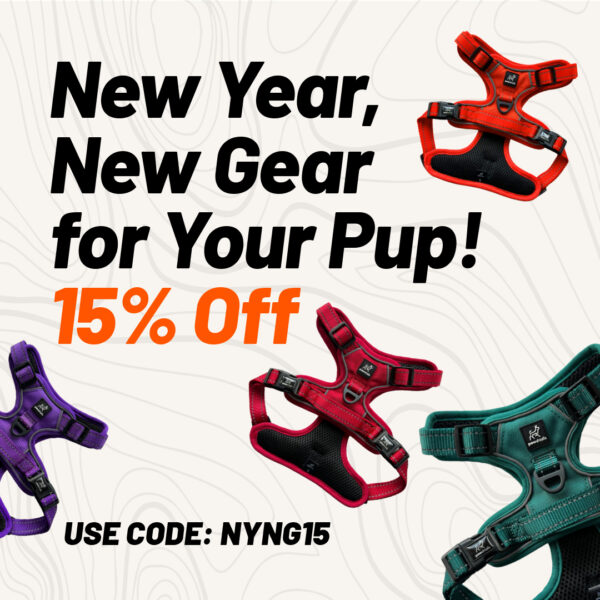 NewYearNewGearSquare