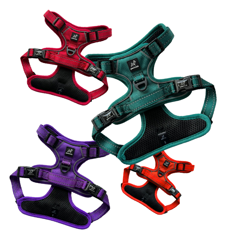 Pawshtails Y-harnesses